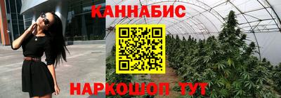 индика Малгобек