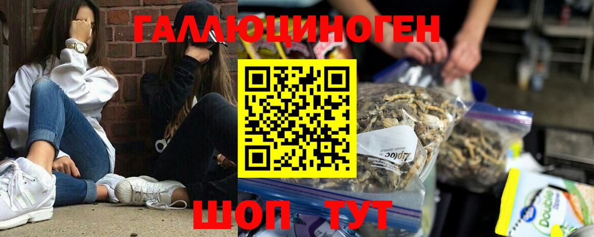Ижевск  Псилоцибиновые грибы Psilocybe  Вход с VPN  Псилоцибиновые грибы Psilocybe 
